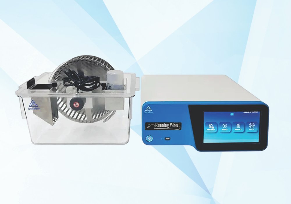 activity-running-wheels