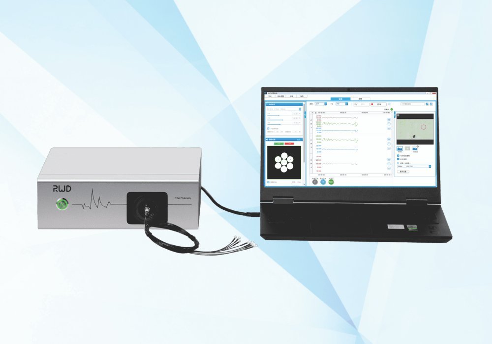 otometria-de-fibra-rwd-r812